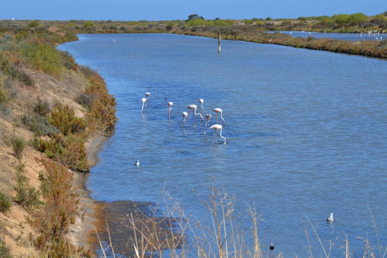 Casinha Secreta - A Gema Escondida Da Santa Luzia Daire Santa Luzia  Dış mekan fotoğraf