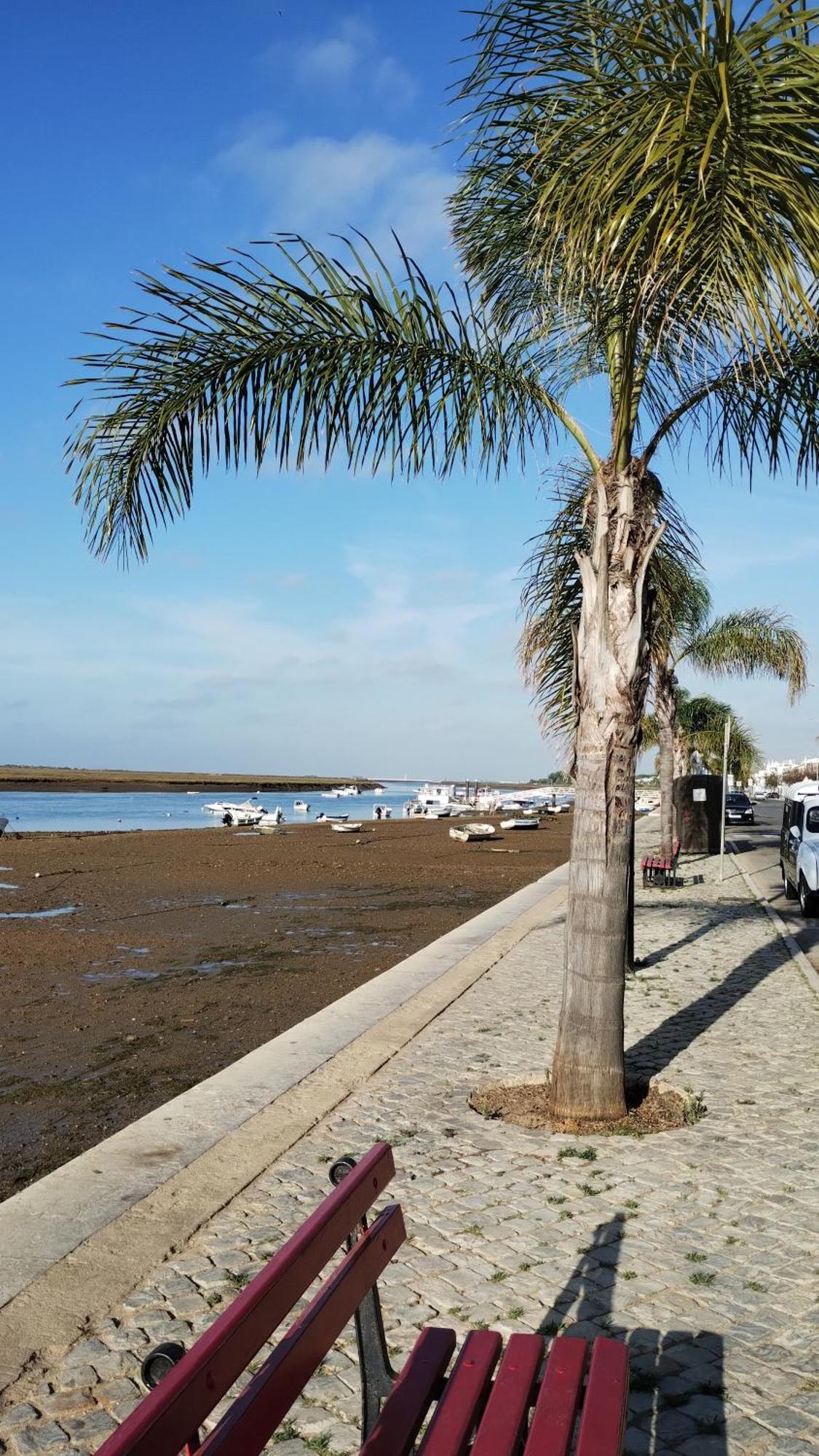 Casinha Secreta - A Gema Escondida Da Santa Luzia Daire Santa Luzia  Dış mekan fotoğraf